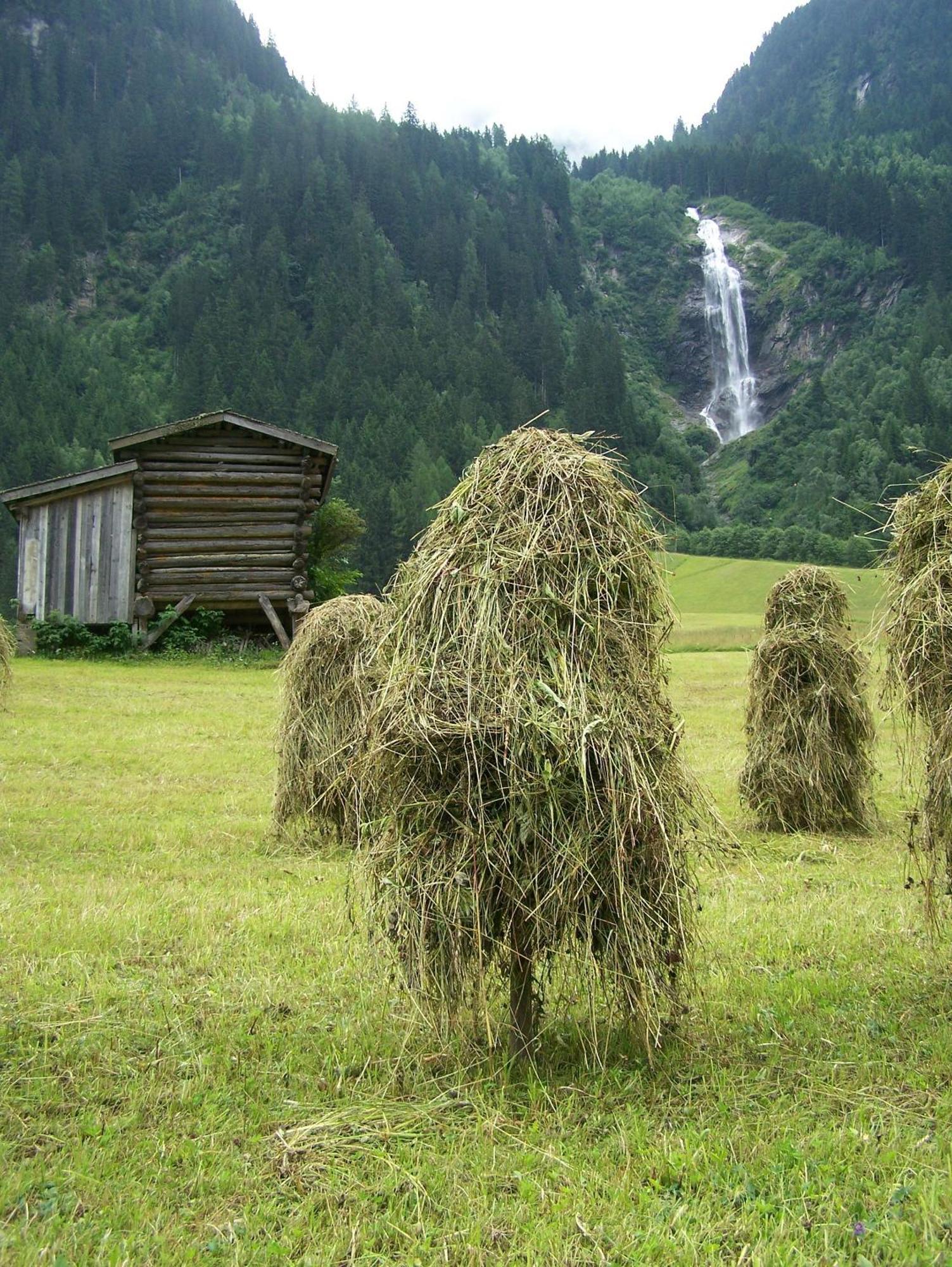 Apart-Pension Wasserfall Neustift im Stubaital Buitenkant foto
