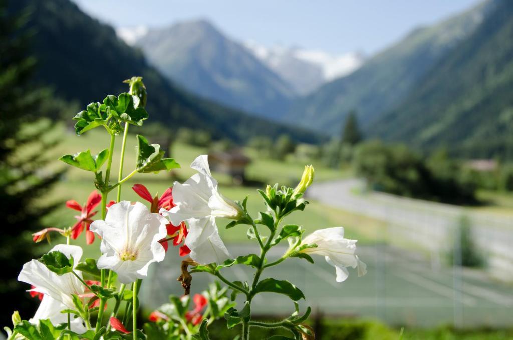 Apart-Pension Wasserfall Neustift im Stubaital Buitenkant foto