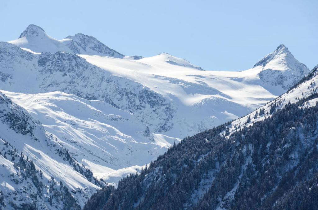 Apart-Pension Wasserfall Neustift im Stubaital Buitenkant foto